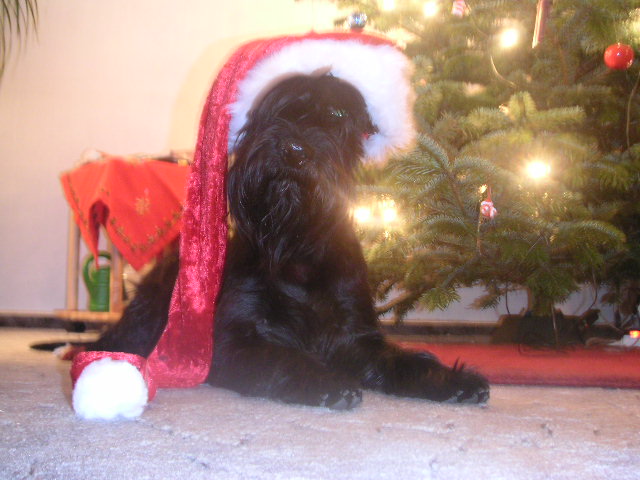 Bild 355.jpg